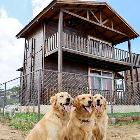 Therpup Resort Kammasandra المظهر الخارجي الصورة